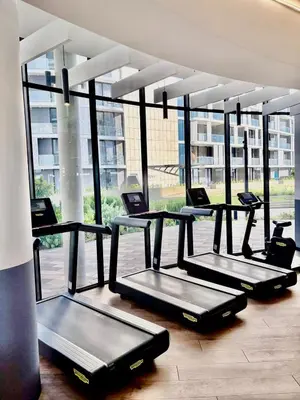a row of treadmills in a gym with windows at Awesome Apartment in Ellipse Waterfall Cassini in Midrand