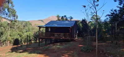 a cabin in the middle of a forest at Bushbaby Cabin in Louwʼs Creek