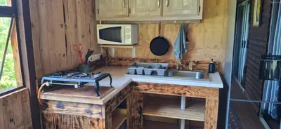 a kitchen with a sink and a microwave at Bushbaby Cabin in Louwʼs Creek