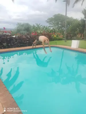 a man is diving into a swimming pool at Viva-Africa Zehetleitner in Pretoria