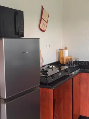 a kitchen with a stainless steel refrigerator and a microwave at EquiRest Horse & Human Country Stay in Midrand