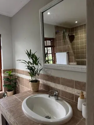 a bathroom with a sink and a mirror at EquiRest Horse & Human Country Stay in Midrand