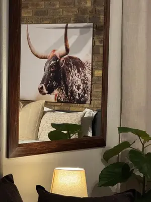 a mirror with a picture of a bull on a wall at EquiRest Horse & Human Country Stay in Midrand