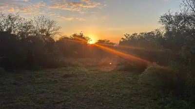 a sunrise over a field with the sun setting at Bosch Rest in Pretoria