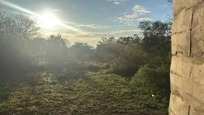 a field with trees and the sun in the sky at Bosch Rest in Pretoria
