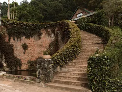 a set of stairs with ivy on a brick wall at Magoebaskloof Mountain Estate in Tzaneen