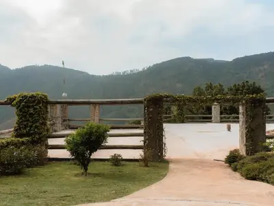 a bench with ivy on it next to a fence at Magoebaskloof Mountain Estate in Tzaneen