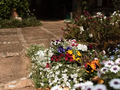 a garden of colorful flowers on a sidewalk at Magoebaskloof Mountain Estate in Tzaneen