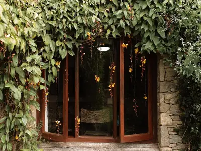 a window with a bunch of plants around it at Magoebaskloof Mountain Estate in Tzaneen