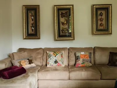 a living room with a brown couch with pillows on it at Magoebaskloof Mountain Estate in Tzaneen
