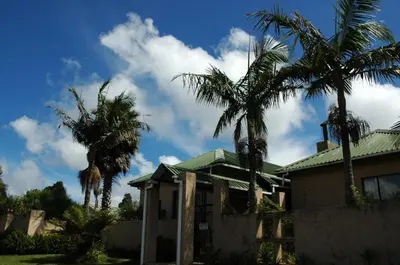a house with palm trees in front of it at Elephant's Nest in Graskop