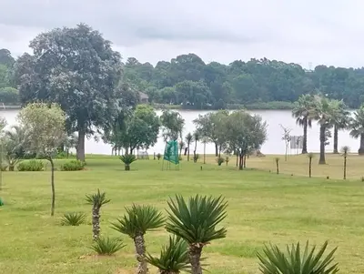 a park with palm trees and a body of water at Witbank Dam Self Check In in Witbank