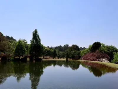 a large pond in a park with trees at Winnaarspoort Lodge in Machadodorp