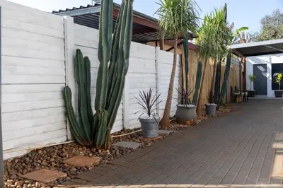 a fence with cacti and plants next to a sidewalk at Thorne's crip in Pretoria