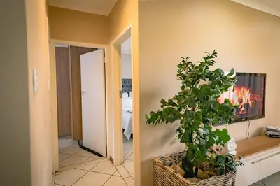 a living room with a potted plant and a television at Entire Modern Comfortable Lux Centurion Apartment in Pretoria
