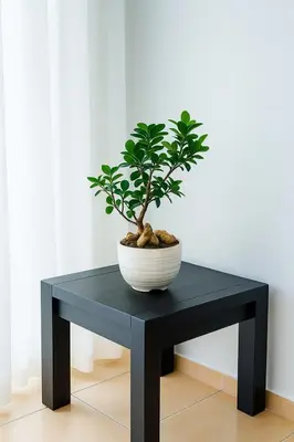 a black table with a potted plant on it at Stylish 1 Bed Self Catering Near OR Tambo in Kempton Park