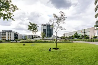 two birds sitting in a field in front of a building at 4413 At Ellipse Waterfall in Midrand