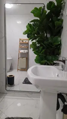 a bathroom with a sink and a large plant at The village Executive Luxe Suites in Thohoyandou