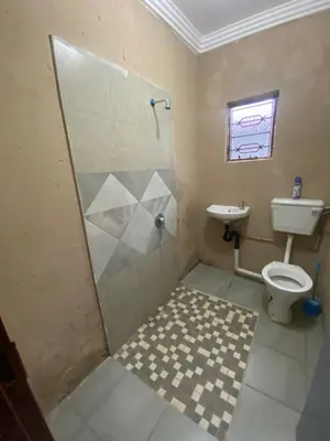 a bathroom with a shower and a toilet and a sink at Emangwevu Estate in Witbank