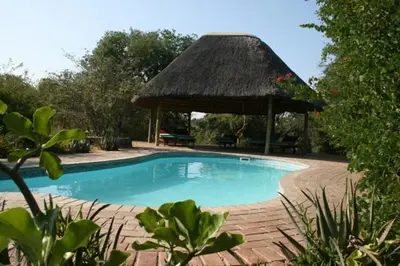 a swimming pool with a thatch roof and a gazebo at Tshukudu Bush Camp in Hoedspruit