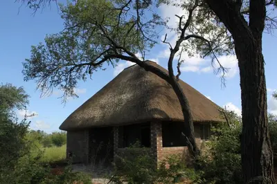 an old house with a thatched roof and a tree at Tshukudu Bush Camp in Hoedspruit