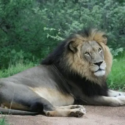 Tshukudu Bush Camp