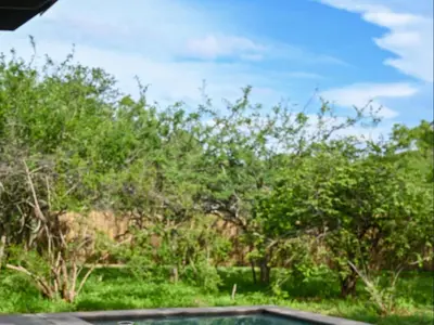 a view of a field with trees in the background at Memory Makers Bush Lodge in Hoedspruit