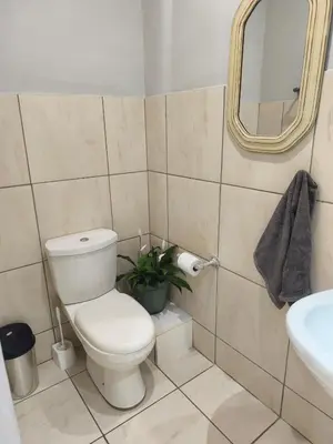 a bathroom with a toilet and a mirror and a plant at Peaceful Private Secure Bachelor Flat in Pretoria