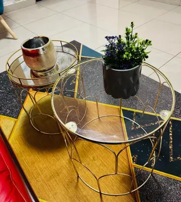 a glass table with a potted plant on top of it at C-Rane Lodge B in Phalaborwa