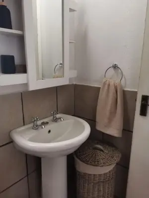 a bathroom with a sink and a mirror and a basket at Impala Lily Kaya in Marloth Park