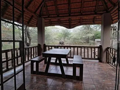 a table and benches on a porch with an elephant in the distance at Impala Lily Kaya in Marloth Park