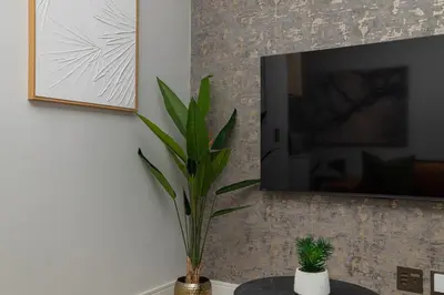 a plant sitting on a table in front of a tv at The Orbit in Midrand