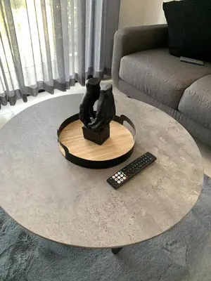 a coffee table with a cat statue and a remote control at Ellipse Luxurious Tamarind Red Studio Experience in Midrand