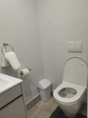 a white bathroom with a toilet and a sink at Ellipse Luxurious Tamarind Red Studio Experience in Midrand