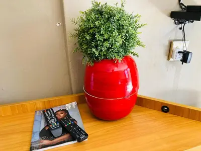 Gallery image of Urban Space Lodge in Pretoria