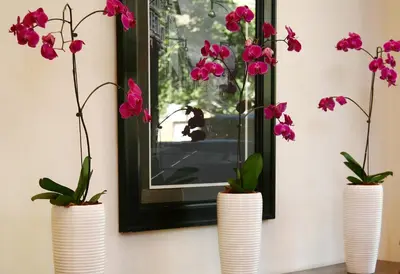 three vases with flowers in them in front of a mirror at Premier Hotel Pretoria in Pretoria