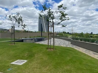 two trees in a field with a building in the background at Ellipse Soleya in Midrand