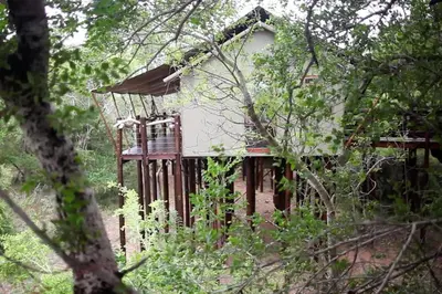 a small house in the middle of the forest at Kapama Buffalo Camp in Kapama Private Game Reserve