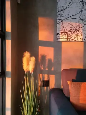 a living room with a couch and a plant at Makrugu Forest in Marloth Park