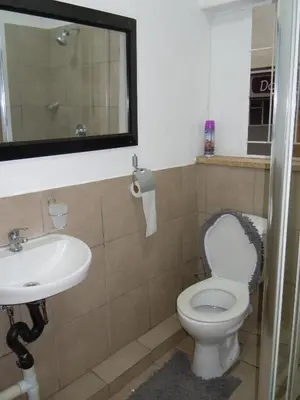 a bathroom with a toilet and a sink and a mirror at Daeka Guesthouse in Kempton Park