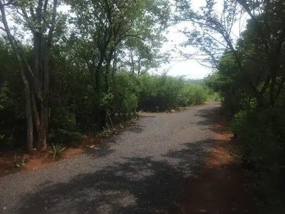 a dirt road in the middle of a forest at Hartbeest Bush Stay #30 in Hartbeespoort
