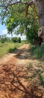 a dirt road with a tree on the side of it at Hartbeest Bush Stay #27 in Hartbeespoort