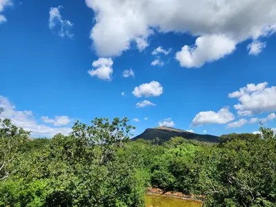 a view of a mountain with trees and a blue sky at Hartbeest Bush Stay #27 in Hartbeespoort
