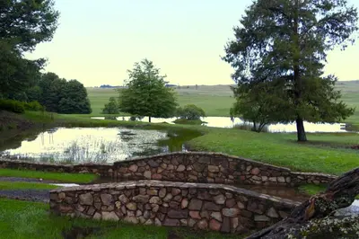 a stone wall in a field with a pond at Elgin Farm Dullstroom in Dullstroom
