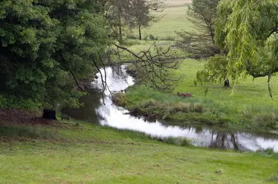 a stream of water in a field with trees at Elgin Farm Dullstroom in Dullstroom