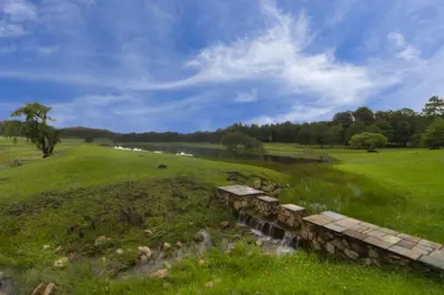 a stone bridge in a field with a creek at Elgin Farm Dullstroom in Dullstroom