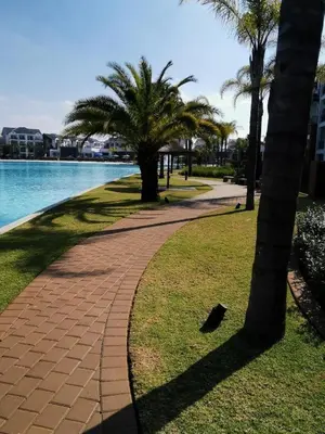 a walkway with palm trees next to a body of water at Spectacular Lagoon Facing Apartment - The Blyde in Pretoria