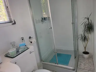 a bathroom with a shower with a toilet and a sink at Casa de Santos Bed and Breakfast Solar and Water off grid in Benoni