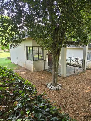 a small white building with a tree in the yard at Linger at the Lake Chrissiesmeer in Lake Chrissie
