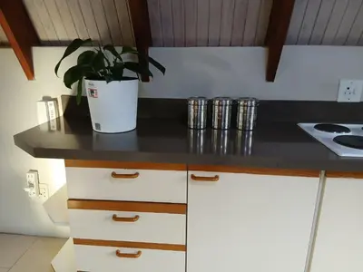 a kitchen counter with a potted plant on it at The Swiss Garden in Midrand